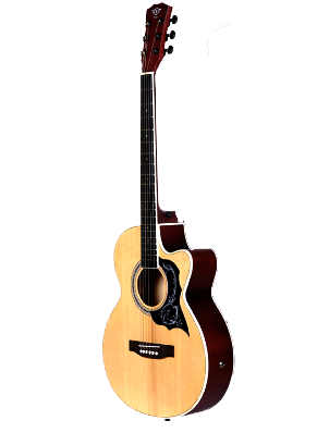 T-Fly TF-239CM Acoustic Guitar Multi