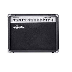 Hertz DG-40R 40-Watt Guitar Amplifier