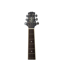 Ashton D10C 39-inch Cutaway Acoustic Guitar