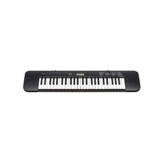 Casio CTK-245 49-Key Electronic Keyboard