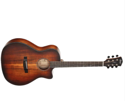 Cort Core Series Core GA Blackwood Electro Acoustic Guitar