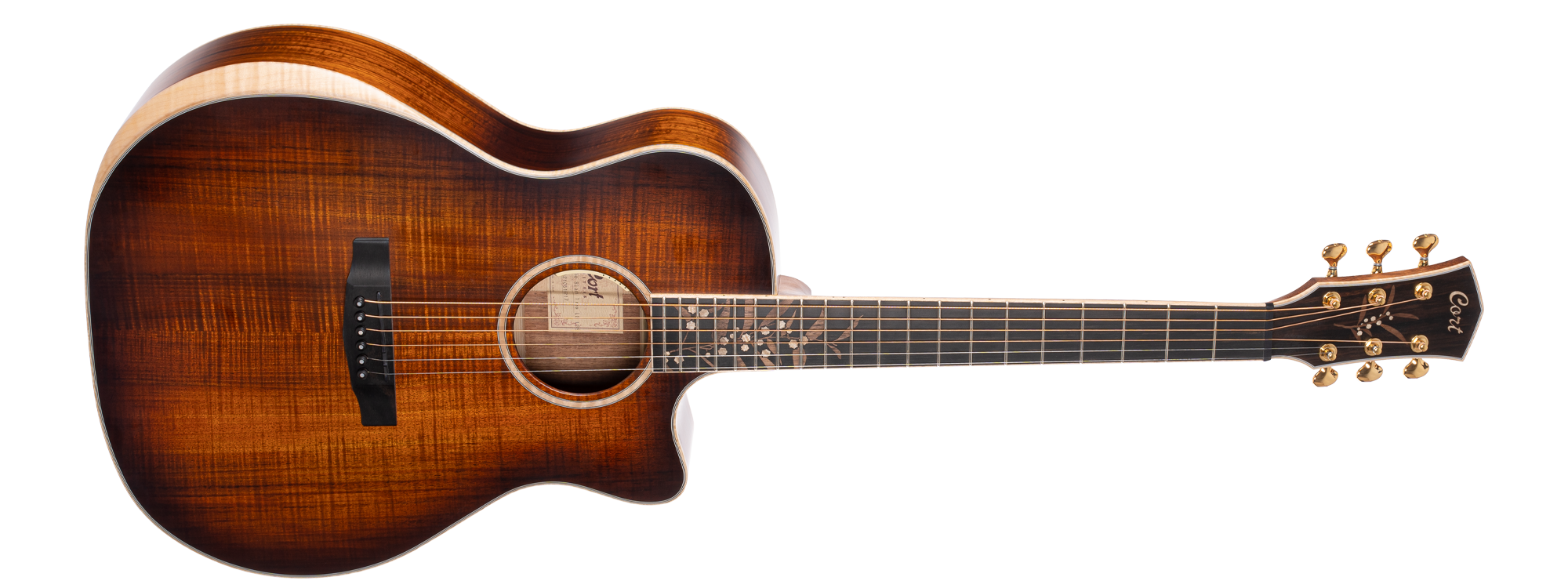 CORT ELECTRO ACOUSTIC GUITAR The Black Tree LE LBS