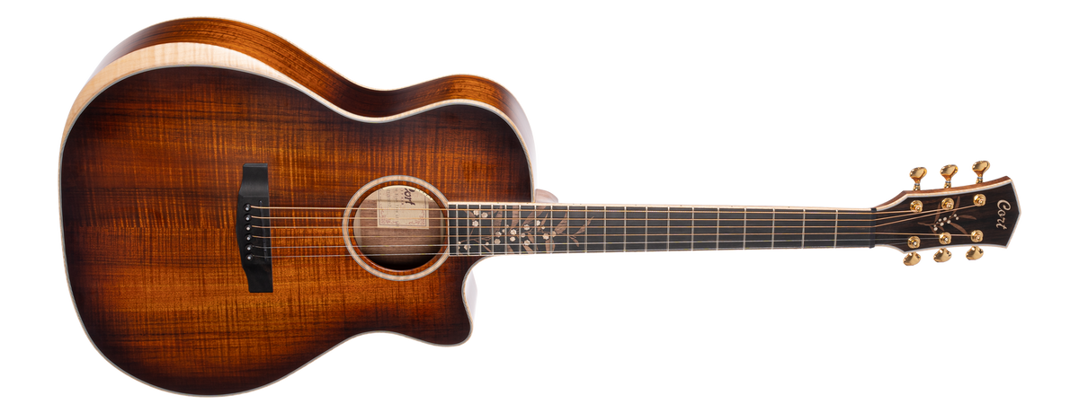 CORT ELECTRO ACOUSTIC GUITAR The Black Tree LE LBS