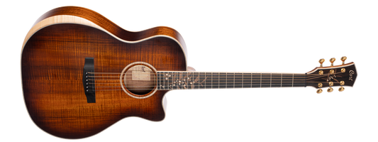 CORT ELECTRO ACOUSTIC GUITAR The Black Tree LE LBS