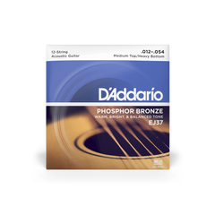 D'Addario EJ37 12-54 Medium Top/Heavy Bottom 12-String Acoustic Guitar Strings