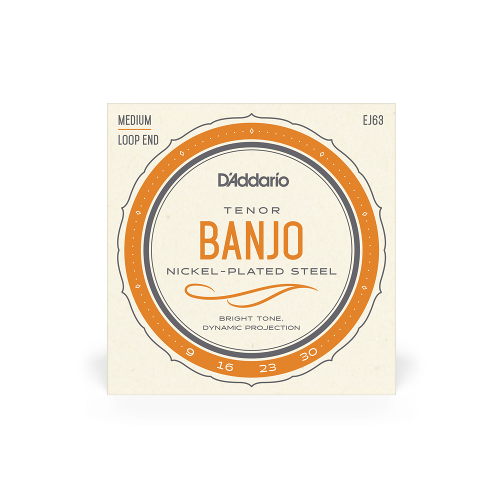 D'Addario EJ63 09-30 Tenor Banjo String Set