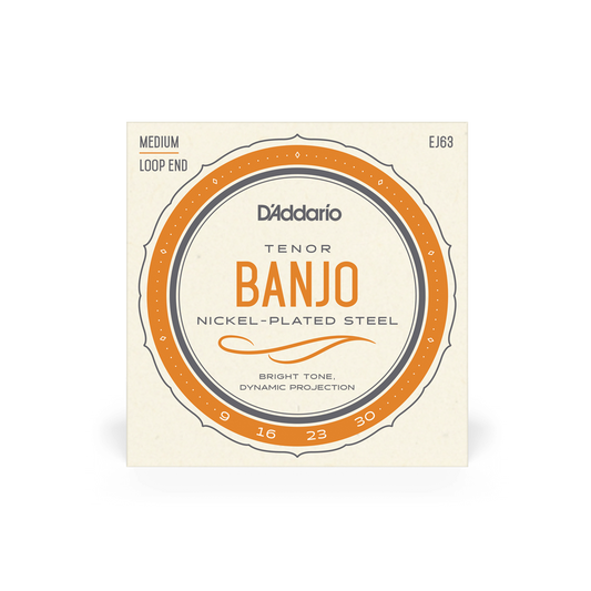 D'Addario EJ63 09-30 Tenor Banjo String Set