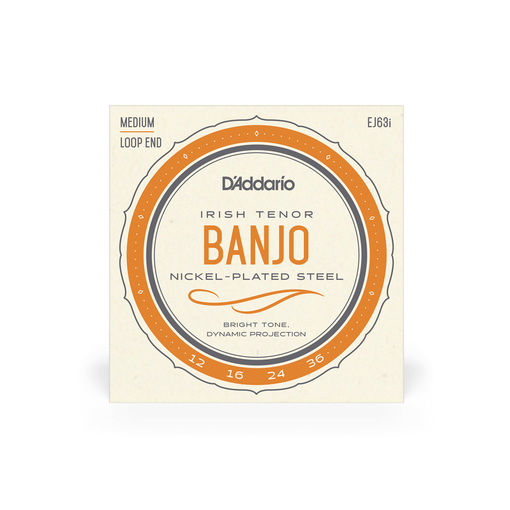 D'Addario EJ63I 12-36 Irish Tenor Banjo String Set