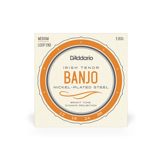 D'Addario EJ63I 12-36 Irish Tenor Banjo String Set