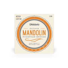 D'Addario EJ80 12-46 Octave Mandolin String Set