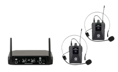 Digimore D-317, 2 Channel Wireless Microphone System with Fixed Frequency DJ