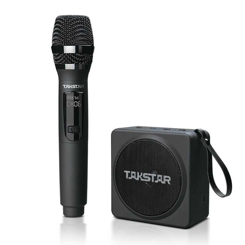 E-261W (Portable Wireless amplifier handheld)