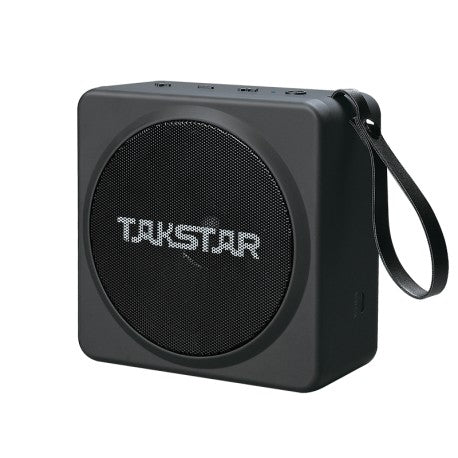 E-261W (Portable Wireless amplifier handheld)