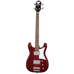 Epiphone Newport Electric Bass Guitar