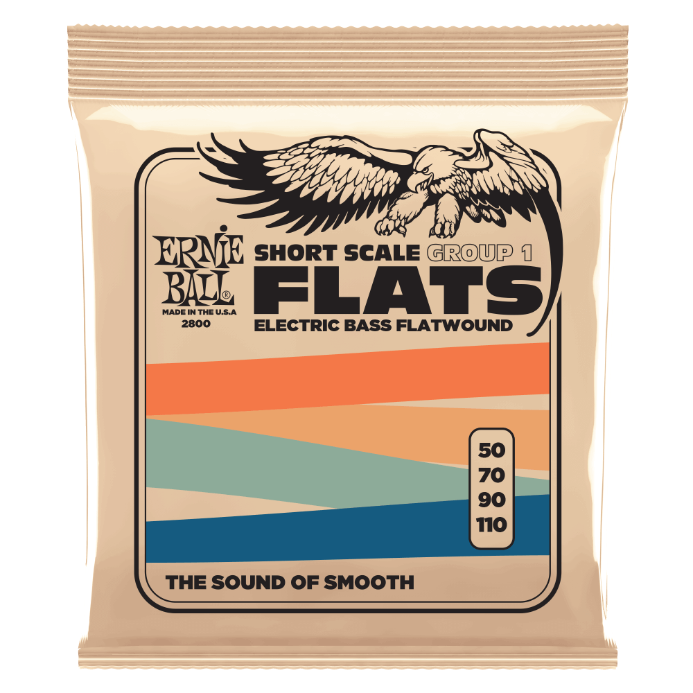 Ernie Ball Group 1 Stainless Steel Flatwound Short Scale Electric Bass Strings 50-110 Gauge