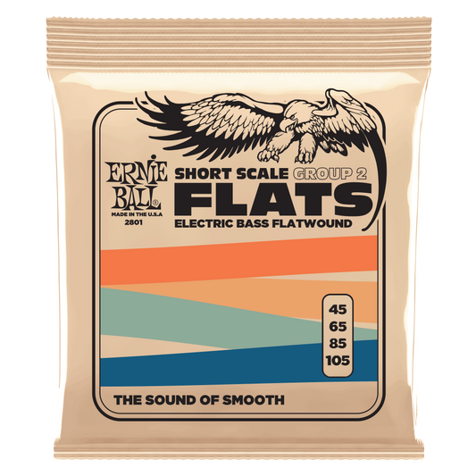 Ernie Ball Group 2 Stainless Steel Flatwound Short Scale Electric Bass Strings 45-105 Gauge