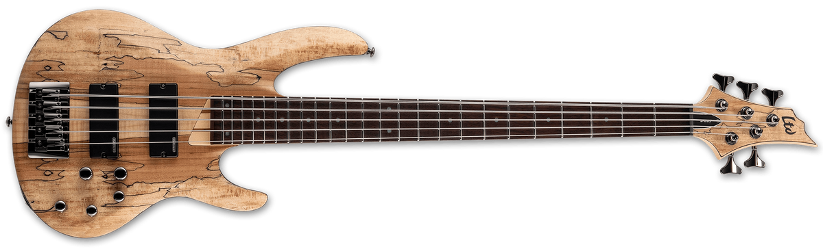 ESP LTD B-205SM 5-String Electric Bass Guitar