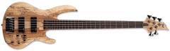 ESP LTD B-205SM 5-String Electric Bass Guitar