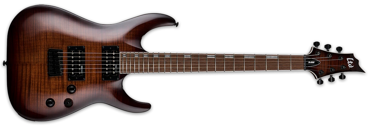 ESP LTD H-200FM 6-Strings Electric Guitar with Bag