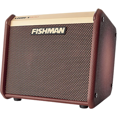 Fishman Loudbox Micro Acoustic Instrument Amplifier