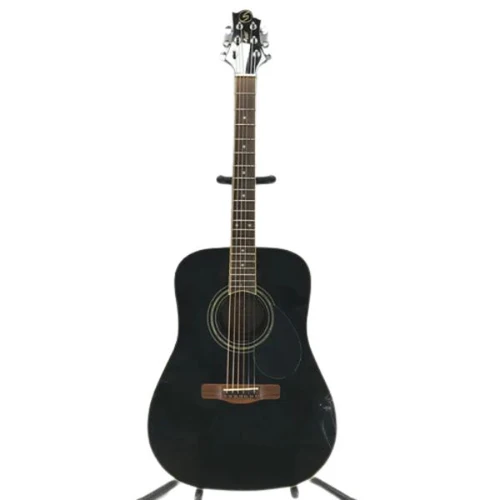 GREG BENNETT D-1 ACOUSTIC GUITAR