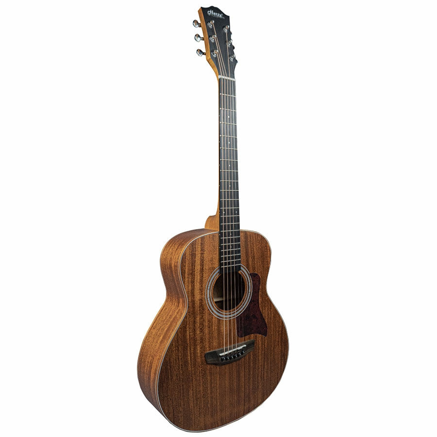 Hertz HZA3600R Acoustic guitar