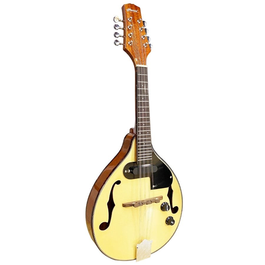 Hertz HZMAN EQ Mandolin (Adeon) With Bag