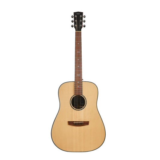Hex D350G Sting Series Acoustic Guitar