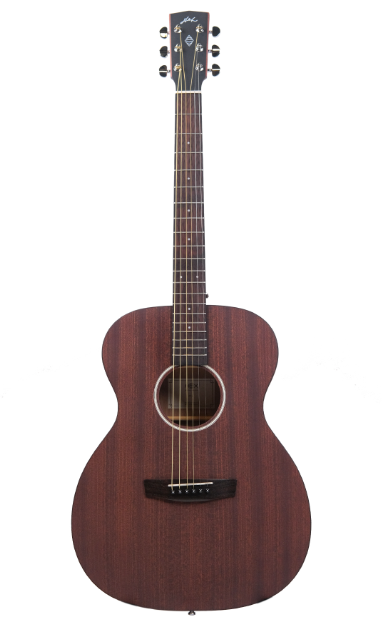 Hex F72M Acoustic guitar - All sapele