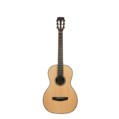 Hex P100M HIVE series Acoustic Guitar