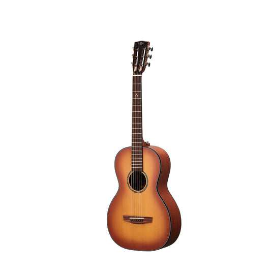 Hex P300HB/G Sting Series Acoustic Guitar - Honeyburst