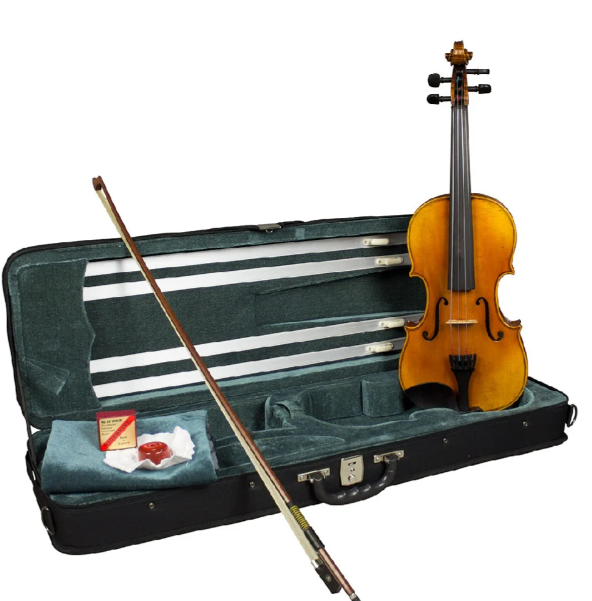 Hidersine WV100SRA Venezia Outfit Violin 4/4