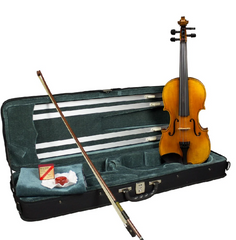 Hidersine WV100SRA Venezia Outfit Violin 4/4