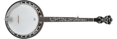 Ibanez Acoustic Banjo	B200