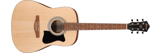 Ibanez Acoustic Guitar Dreadnought JAMPACK series V50NJP-OPN