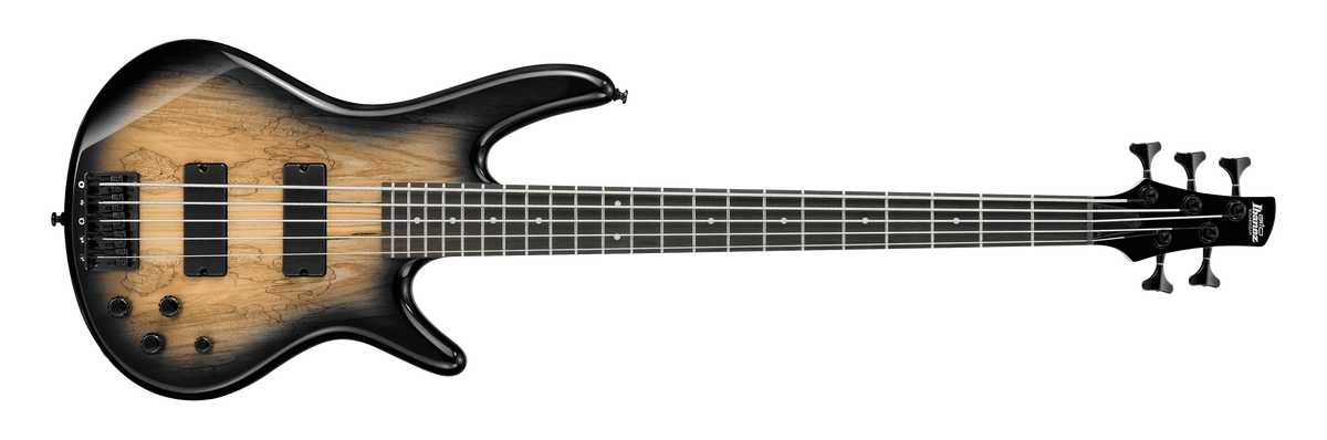 Ibanez bass guitar GSR205SM-NGT