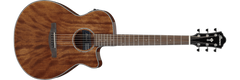 Ibanez electro-acoustic guitar AEG61-NMH
