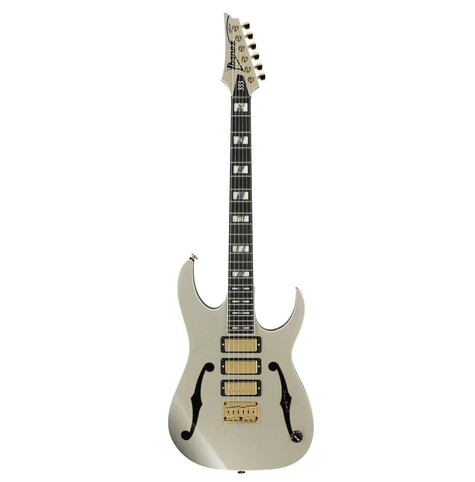 Ibannez electric guitar PGM333