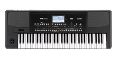 Korg PA-300 Professional Arranger Keyboard