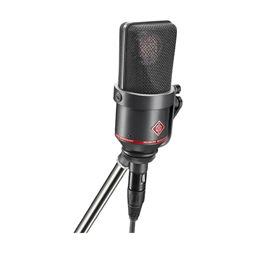 Neumann TLM 170R Condenser Microphone