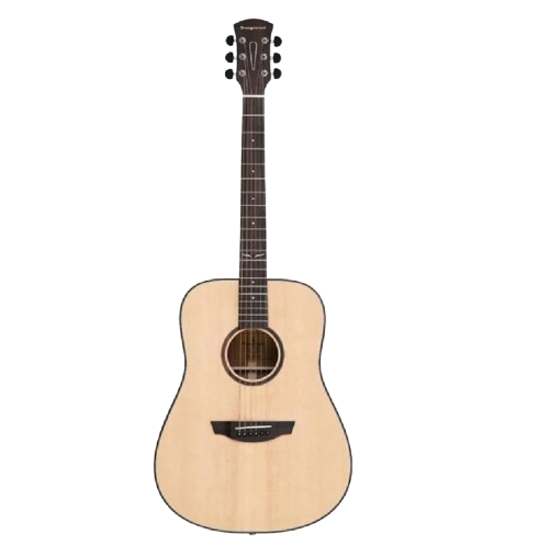 Orangewood Austen Dreadnought Solid Spruce Top Acoustic Guitar