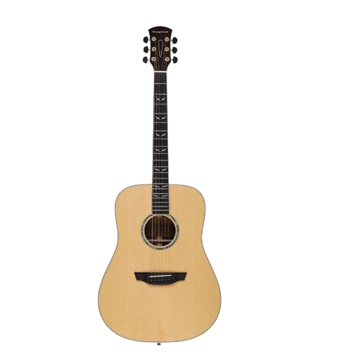 Orangewood Echo Dreadnought Acoustic Guitar