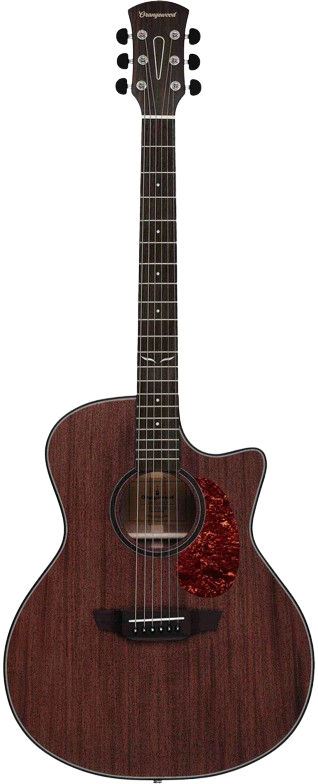 ORANGEWOOD - OW-MORGAN-M-L Morgan Mahogany Live Guitars
