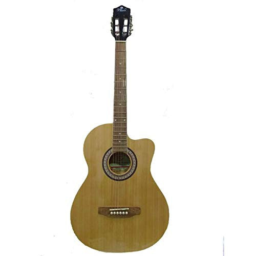 Pluto Acoustic Guitar 201 series Medium with Pick-up	HW39-201P-NAT
