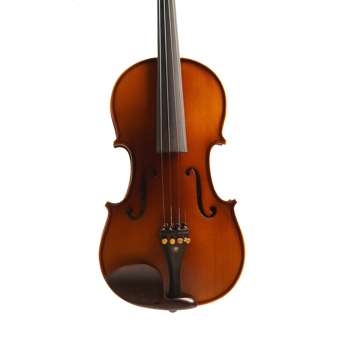 Procraft PR VS008E Acoustic violin