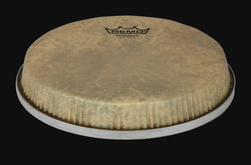 Remo Bongo Head R-Series Skyndeep Calfskin Graphic