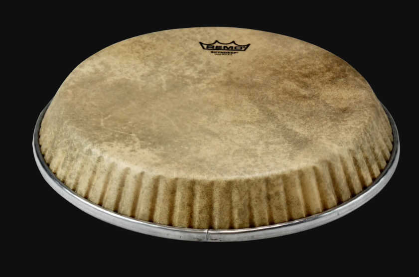 Remo Conga Head Symmetry Skyndeep