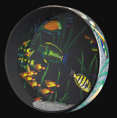 Remo Ocean Drum Fish Graphic