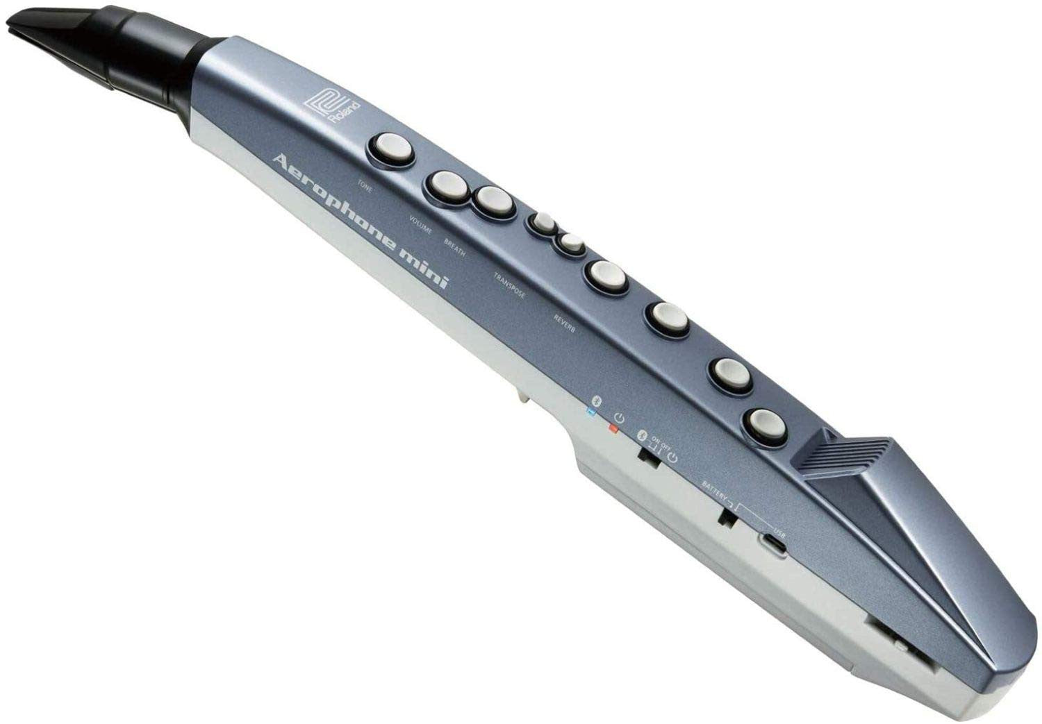 Hone Instrument Roland AE-01 Aerophone Mini Digital Wind Instrument – Beats The Musical ...
