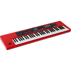 Roland   XPS-10X   Expandable   Synthesizer